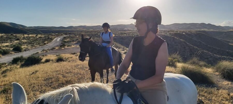 Almeria: Horse Riding Tour Through the Tabernas Desert - The Best Time and the Right Expectations