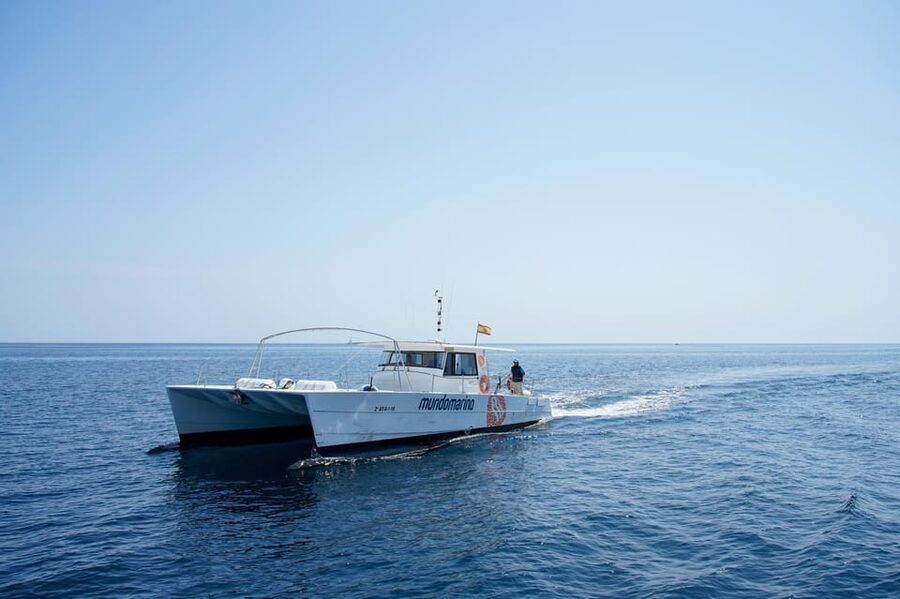 Altea: Catamaran Tour with Sunset Option - Reaching the port and planning the day