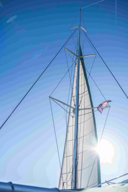 Altea: Catamaran Tour with Sunset Option - What the strongest praise tells you