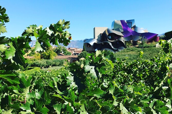 Architectural Rioja Small Group Wine Tour with Lunch from Bilbao - Who should book this tour?