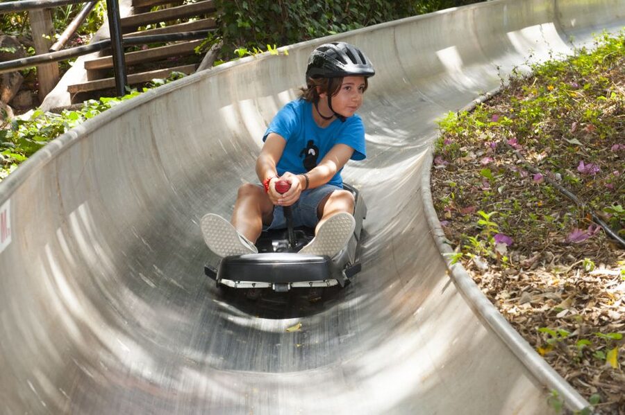 Arona: Entry Ticket to Tenerife's Jungle Park Zoo - What makes Jungle Park different from a standard zoo