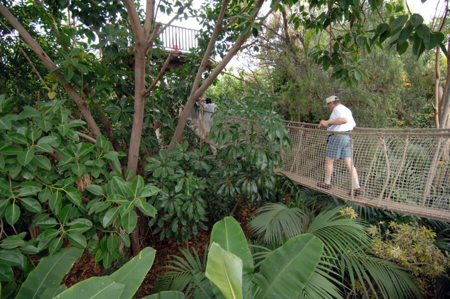 Arona: Entry Ticket to Tenerife's Jungle Park Zoo - Start with the birds of prey