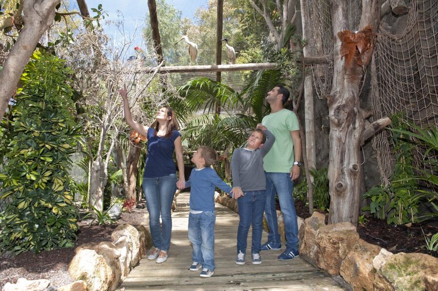 Arona: Entry Ticket to Tenerife's Jungle Park Zoo - Arriving at the main ticket desk