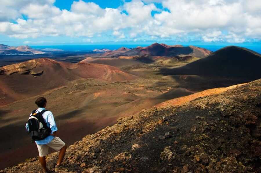Arrecife/Playa Blanca: Timanfaya National Park Area Day Tour - Why Timanfaya is worth giving a full day