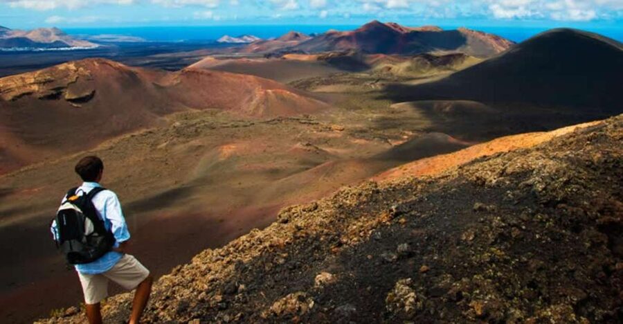 Arrecife/Playa Blanca: Timanfaya National Park Area Day Tour - La Geria and the clever method behind Lanzarote wine