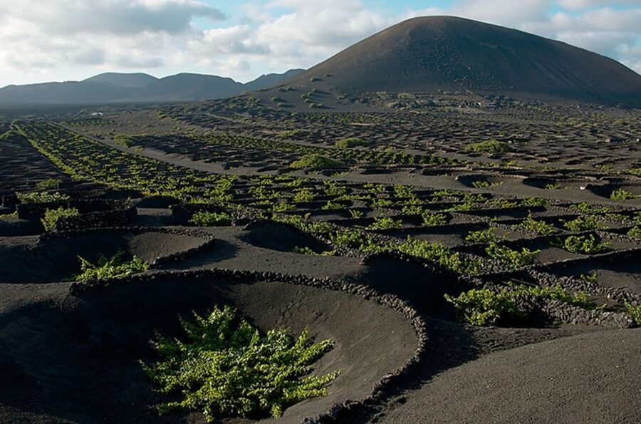 Arrecife/Playa Blanca: Timanfaya National Park Area Day Tour - The Volcanoes Route, seen from a coach window