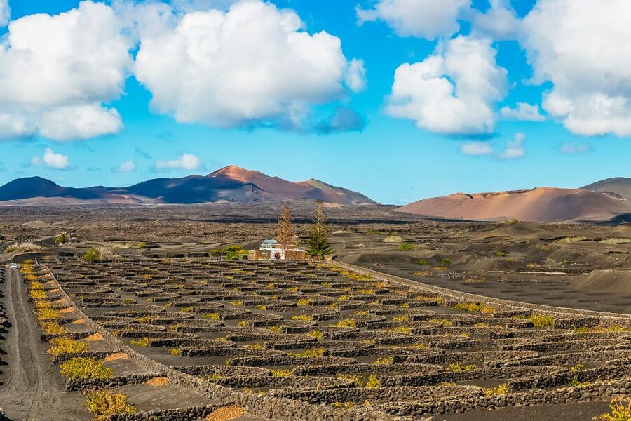 Arrecife: Timanfaya and Green Lagoon for Cruise Passengers - Why Lanzarote’s volcanic south is worth your shore day