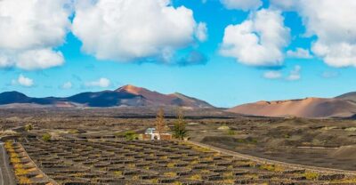 Timanfaya and Green Lagoon for Cruise Passengers