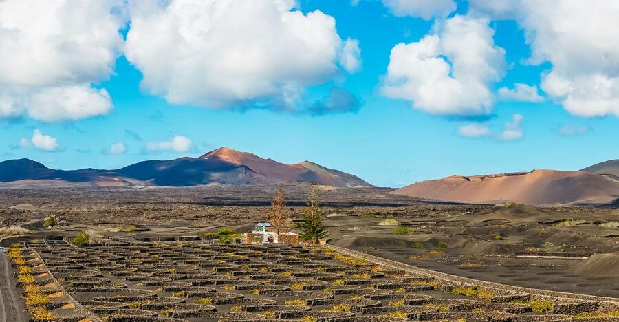 Arrecife: Timanfaya and Green Lagoon for Cruise Passengers - Meeting your bus beyond the cruise-terminal checkpoint