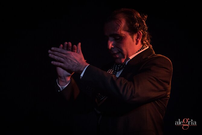 Authentic flamenco show. Alegria and gastronomy Malaga - Should you book Alegría Flamenco?