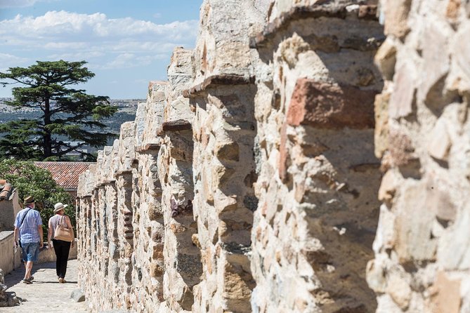 Avila with Walls and Segovia with Alcazar from Madrid - Segovia Cathedral and the lunch decision