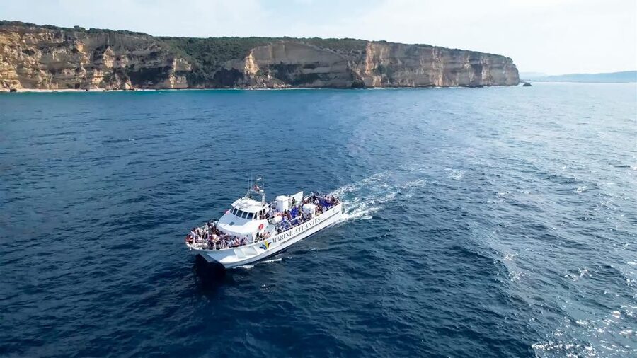 Barbate: Dolphin and Whale Watching in Cape Trafalgar - Leaving Barbate for Cape Trafalgar