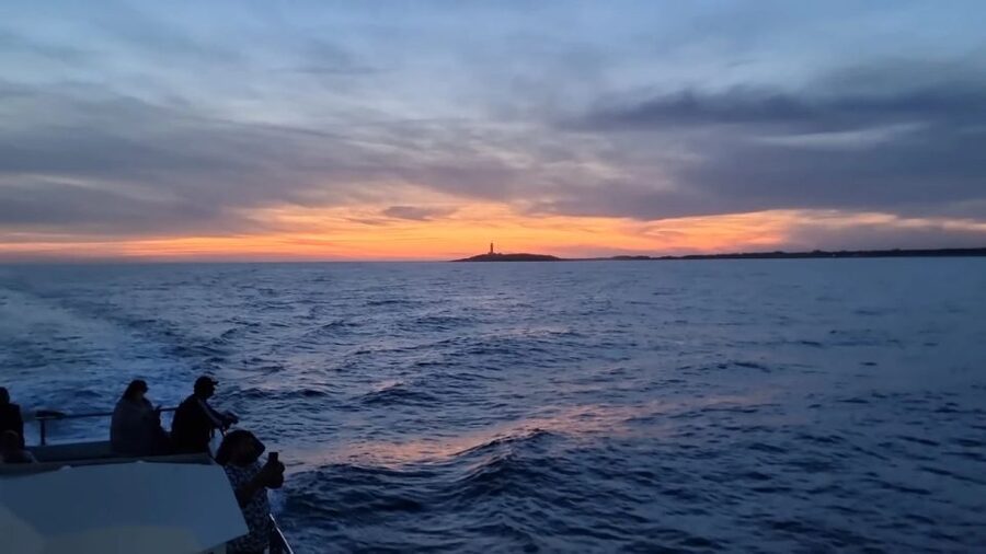 Barbate: Sunset Cruise with Glass of Cava - From Barbate marina toward Cape Trafalgar
