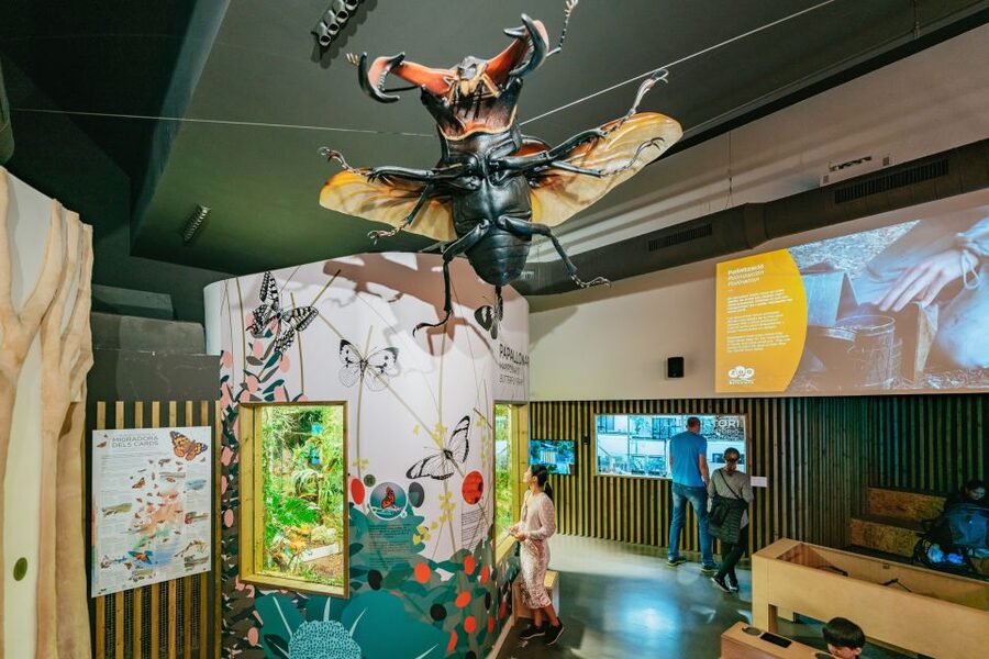 Barcelona: 1-Day Ticket to Barcelona Zoo - Key points at a glance
