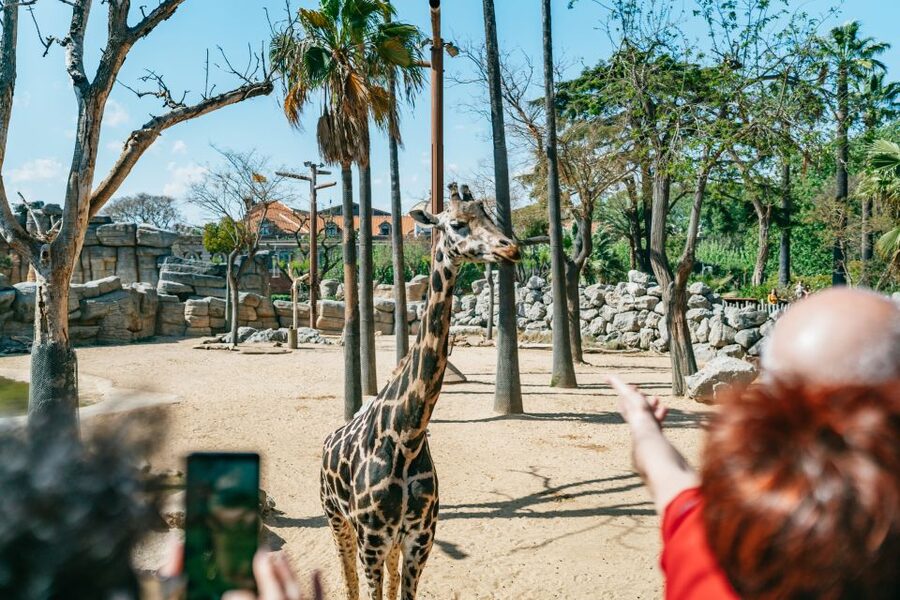 Barcelona: 1-Day Ticket to Barcelona Zoo - Making the day work for families