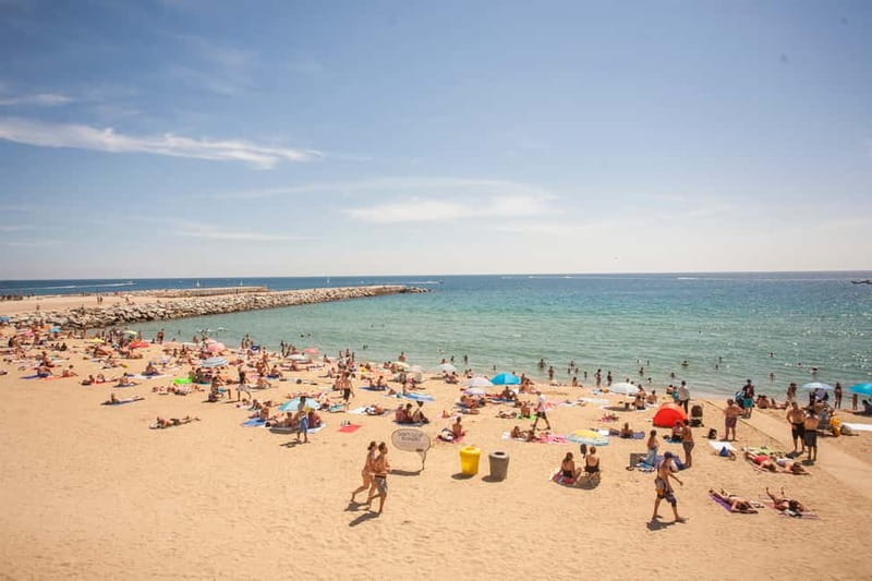 Barcelona: 2-Hour City Sights Guided Segway Tour - What the guides add to the ride