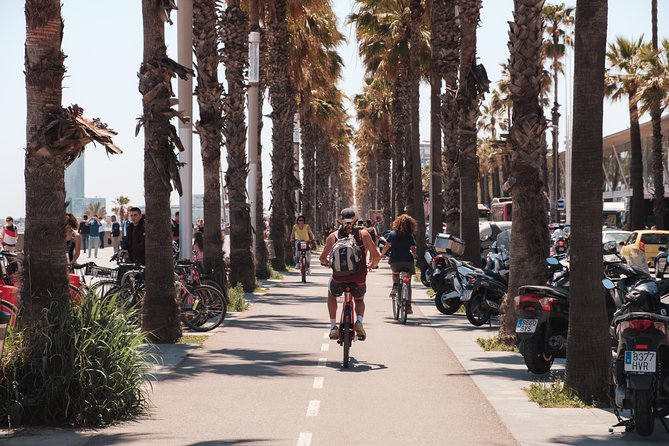 Barcelona 3-hour Bike or E-Bike Tour: Highlights and Hidden Gems - Down to Port Olímpic and the Mediterranean