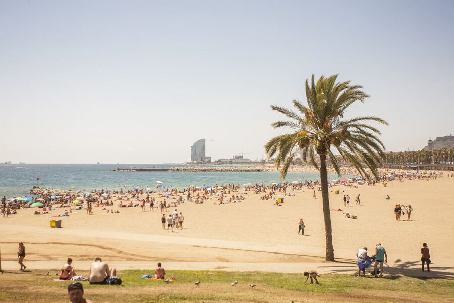 Barcelona: 3-Hour Segway Sightseeing Tour - Barceloneta and the city’s connection to the sea