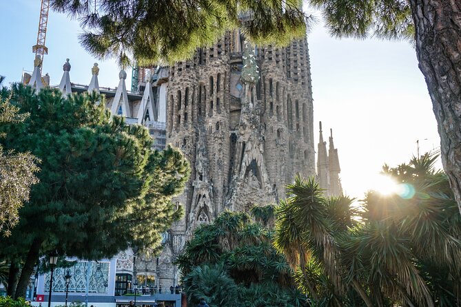 Barcelona all included: Sagrada, Park Güell, Montjuic & Gothic - Park Güell with time to explore alone