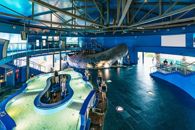 Barcelona Aquarium: Entry Ticket - Who will enjoy Barcelona Aquarium most?