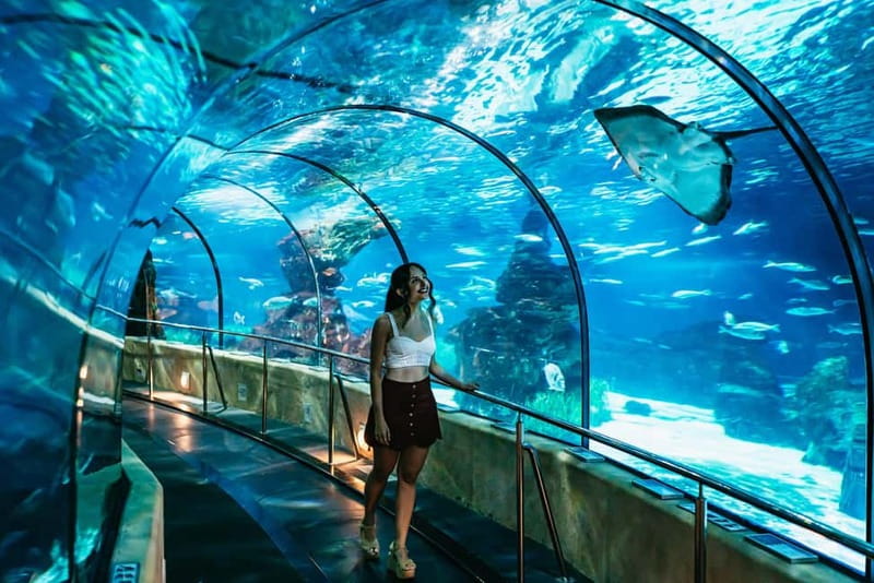 Barcelona Aquarium: Entry Ticket - Arriving at Port Vell and getting oriented