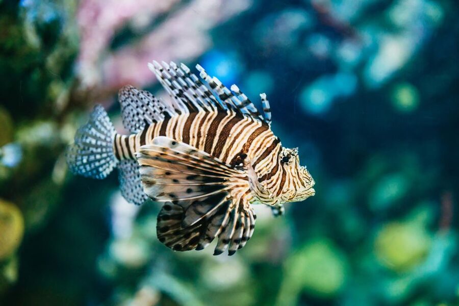 Barcelona Aquarium: Entry Ticket - Planeta Aqua for children and hands-on learning