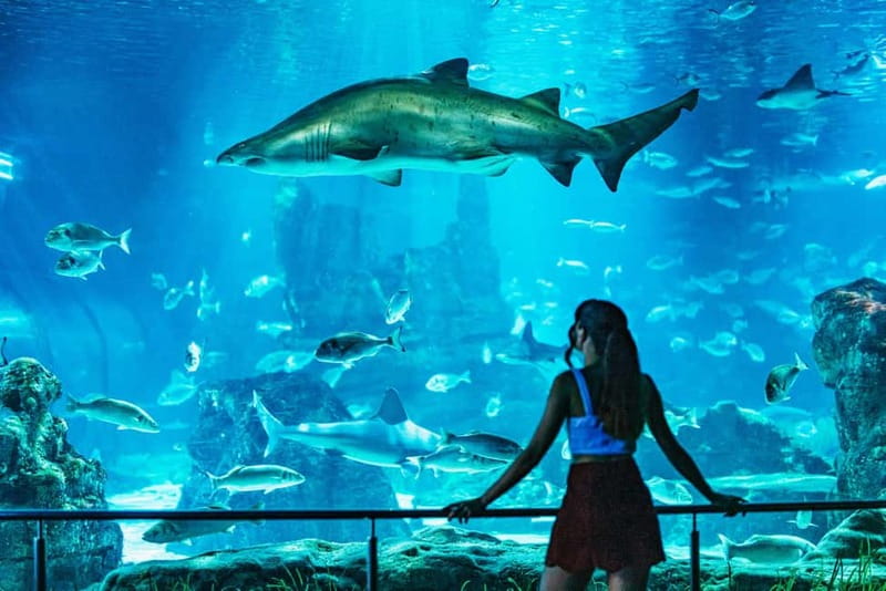 Barcelona Aquarium: Entry Ticket - How much time to allow