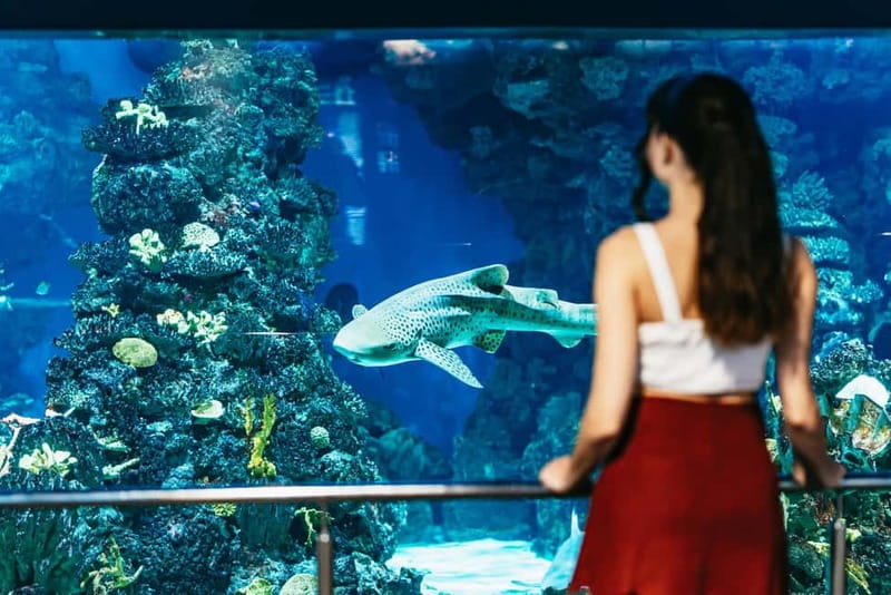 Barcelona Aquarium: Entry Ticket - Café, shop, and small practical details
