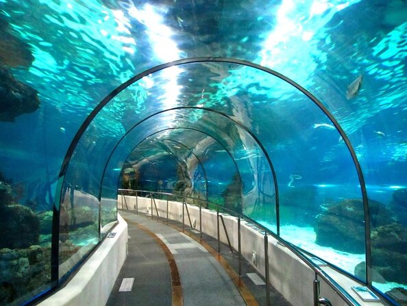 Barcelona Aquarium Skip the Line Ticket - Key points to know before you book