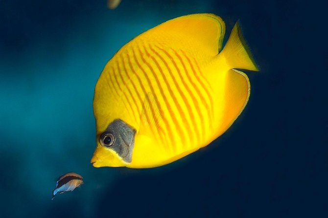 Barcelona Aquarium Skip the Line Ticket - Explora gives children something to do
