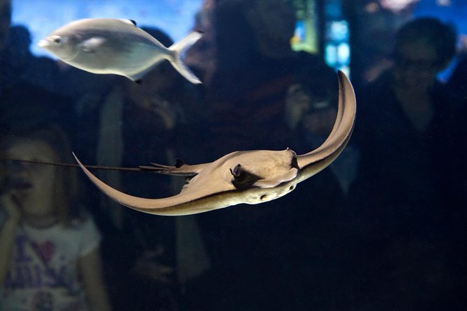 Barcelona Aquarium Skip the Line Ticket - How long should you allow?