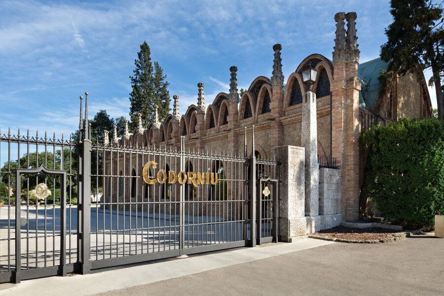 Barcelona: Casa Codorníu Guided Tour with Cava Tastings - Who should book this Codorníu experience?