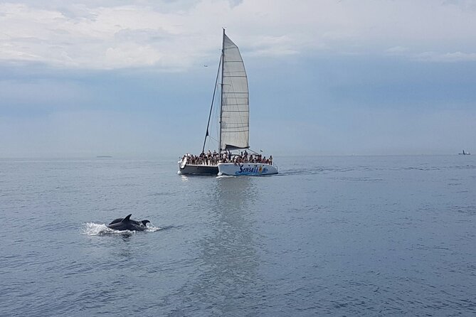 Barcelona Catamaran Party Tour For Young People - Weather, comfort, and practical planning