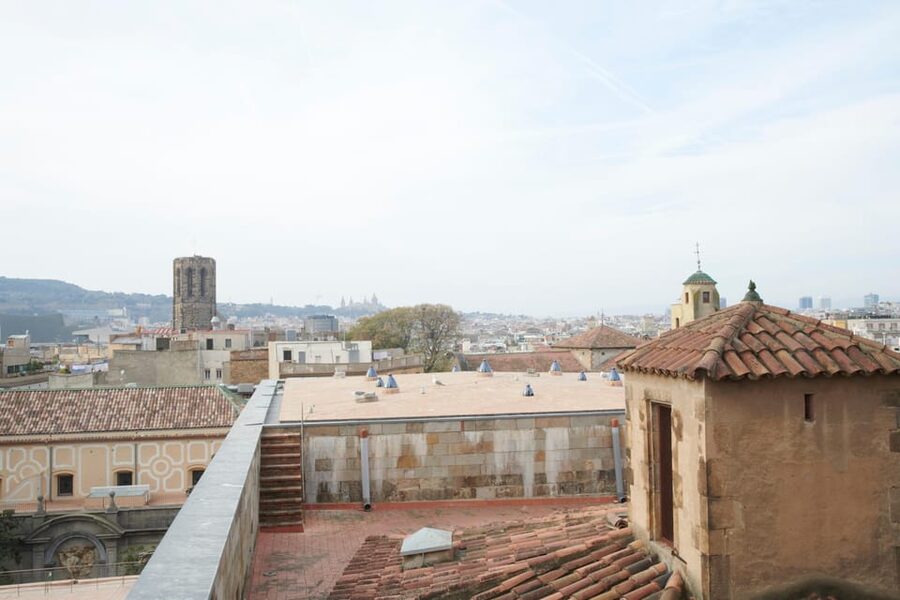 Barcelona Cathedral: Ticket, Guided Tour and VR Experience - The cloister, fountains, and thirteen geese