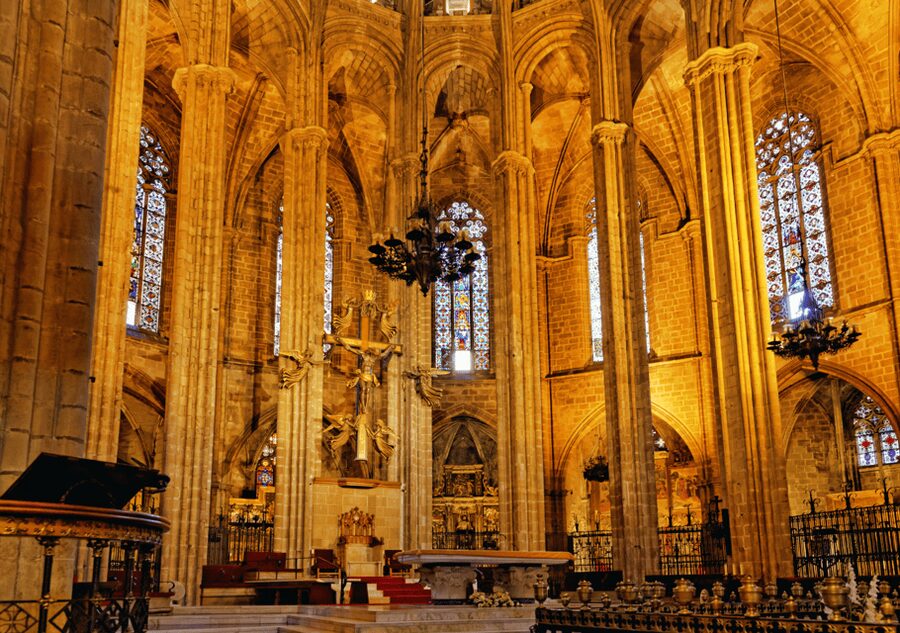 Barcelona Cathedral: Ticket, Guided Tour and VR Experience - The rooftop terrace and views over Barcelona
