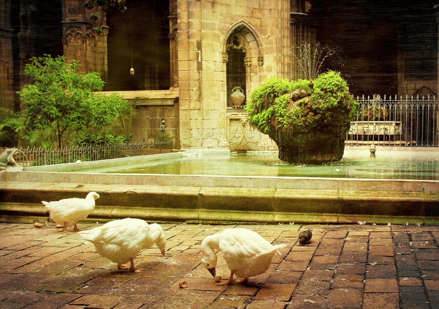 Barcelona Cathedral: Ticket, Guided Tour and VR Experience - Is $34 a fair price?