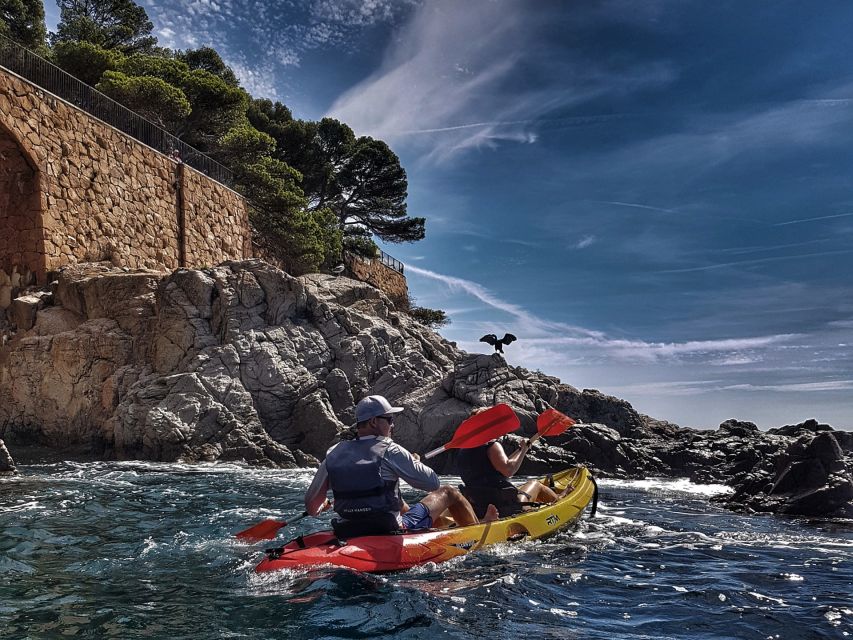 Barcelona: Costa Brava Hiking, Sea Kayaking & Lagoon Dipping - Sandstone coves, clear water, and a secluded swim