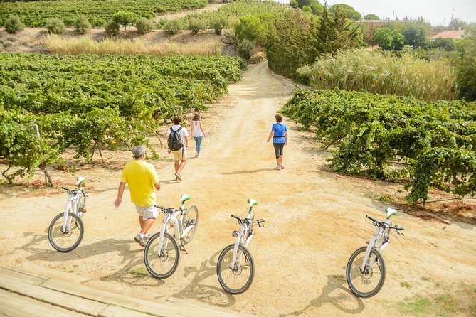 Barcelona eBike Beach Private Tour to Vineyards & Picnic - Reaching Alella’s vineyards