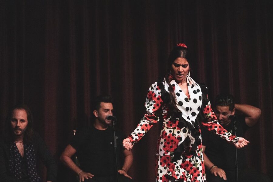 Barcelona: Flamenco Show at Palau Dalmases - Why this Barcelona flamenco show works