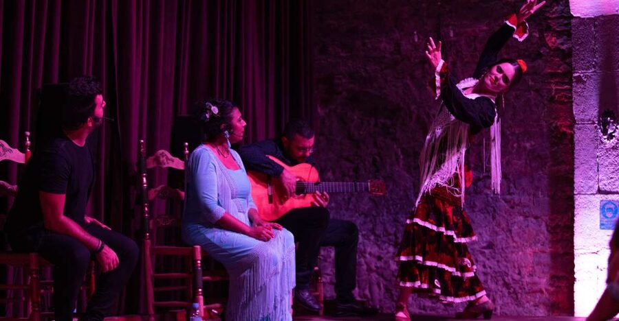 Barcelona: Flamenco Show at Palau Dalmases - What happens during the 50 to 55 minutes