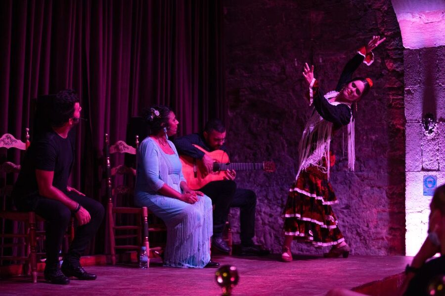 Barcelona: Flamenco Show at Palau Dalmases - Entering the 17th-century Palau Dalmases