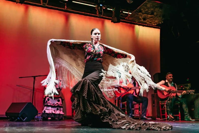 Barcelona: Flamenco Show at the Theater - How the $28 price compares in practical terms