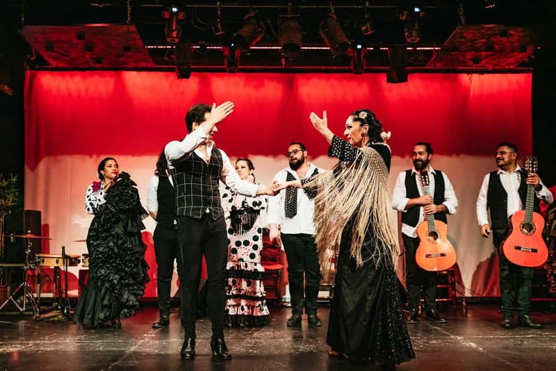 Barcelona: Flamenco Show at the Theater - Who should book this performance