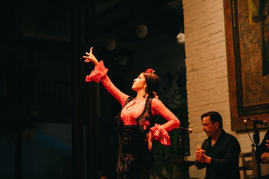 Barcelona: Flamenco Show with Dinner at Tablao de Carmen - Is $104 a fair price?