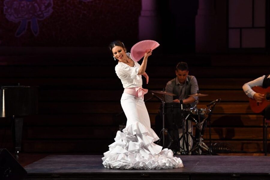 Barcelona: Gran Gala Flamenco Show Entry Ticket - The dancers, singers, and guitar