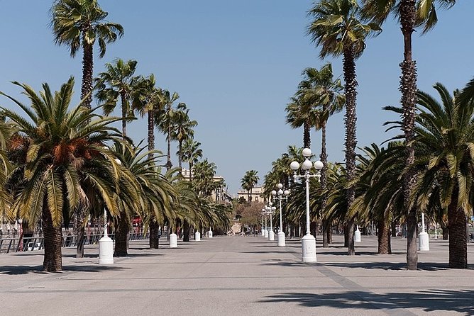 Barcelona Half-Day Sightseeing Private Tour - What the private vehicle adds
