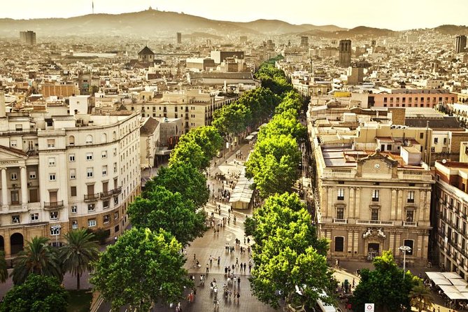 Barcelona Half-Day Sightseeing Private Tour - Sagrada Família, one hour with a major ticket warning