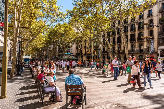 Barcelona Highlights Private Guided Tour with Hotel Pick-up - Las Ramblas, the Columbus monument, and the waterfront