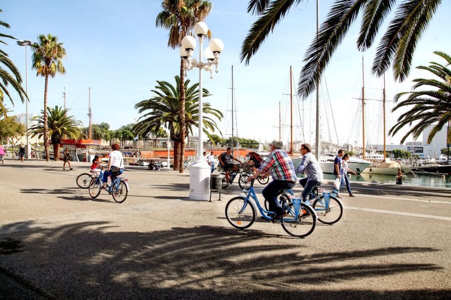 Barcelona Historical 3-Hour Bike Tour - Timing, weather, and practical comfort