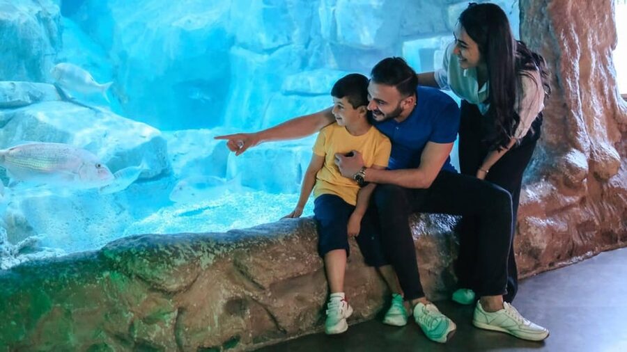 Barcelona: Hop-On Hop-Off Bus & Aquarium Tour - The orange route from the harbor to Montjuïc and Sagrada Familia